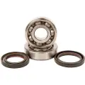 Hotrods Honda Crf150r 2007-2024 Krumtapaksel Leje Og Tætningssæt