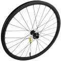 Specialized Roval Control 29´´ 6b Disc Mtb Forhjul