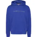 Tommy Hilfiger Reg Linear Gold Hættetrøje