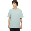 Dickies Summerdale T-shirt Med Korte ærmer