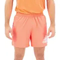 Adidas Run It 5´´ Shorts