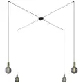 Creative Cables Spider 4 Falls With Light Bulb Pendellampe