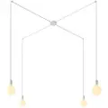 Creative Cables Spider 4 Falls With Light Bulb Pendellampe