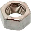 Celo 934 10 Sekstakket Møtrik 250 Enheder