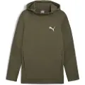 Puma Evostripe Hættetrøje