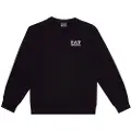 Emporio Armani 8nbm51_bj05z Sweatshirt
