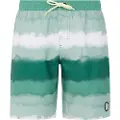 Protest Abel Badeshorts