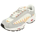 Nike Air Max Tailwind Iv Sko