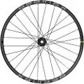 Mavic Deemax 21 29´´ 6b Disc Mtb Forhjul