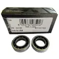 Campagnolo Usb Lejer