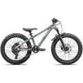 Specialized P1 Trail 20´´ Advent 2025 Cykel