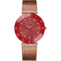Bellevue F6 Dameur