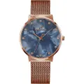 Bellevue B42 Dameur