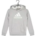Adidas Essentials 2 Coloured Big Logo Hættetrøje