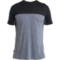 Icebreaker Merino 125 Cool-lite Sphere Iii Colour Block T-shirt Med Korte ærmer