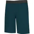 Wild Country Session Shorts
