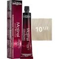 L'Oréal Amplified Crème Lipstick - 120 Vegas Volt - 3gr.
