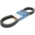 DAYCO Yamaha Majesty 400cc 5ru176410000 Drivrem