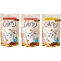 Catessy Økonomipakke: Catessy Snacks 15 x 65 g - Mix: 3 varianter