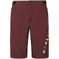 Oakley Free Ride Shorts
