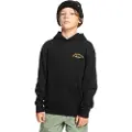 Quiksilver Big Logo Hættetrøje