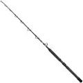 Shimano Tyrnos B Stand Up Spiral Bund Fiskestang