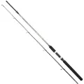 SERT Fish Instinctcast Spinnestang
