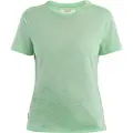 Icebreaker Merino Core Plume T-shirt Med Korte ærmer