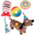 Zooplus Exclusive Hundelegetøj B'day Dog - 1 stk.