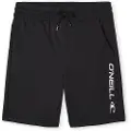 O'Neill Rutile Shorts