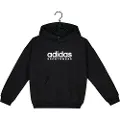 Adidas All Szn Hættetrøje