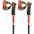 LEKI Wcr Gs Carbon 3d Spadserestokke