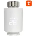 Avatto Trv06 Zigbee 3.0 Tuya Radiatortermostat