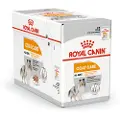 Royal Canin Coat Care vådfoder til hunde (paté)