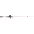 Daiwa Procaster+pr100l Baitcasting-kombination