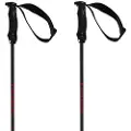 Völkl Rentastick Carbon Spadserestokke