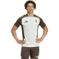 Adidas Juventus 24/25 Tiro 24 Competition Træning T-shirt Med Korte ærmer