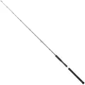 Daiwa Legalis Casting Langsom Jiggingstang