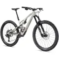 Specialized Stumpjumper Evo Expert 29´´ Gx Eagle Axs 2023 Mtb Cykel