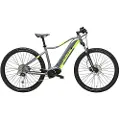 Adriatica Rayon 2.0 29´´ Elektrisk Mtbcykel