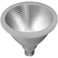 PR Home - Vækstpære Grow LED 13W, Ø 12,3 cm - Sølvfarvet - Lyskilder & pærer - - Homeroom
