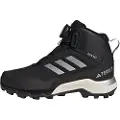 Adidas Terrex Winter Mid Boa R.rdy Vandresko