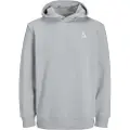 Jack & Jones Triangle Hættetrøje