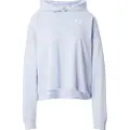 Under Armour Rival Terry Os Hættetrøje