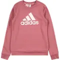 Adidas Essentials Big Logo Cotton Sweatshirt