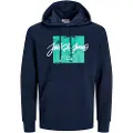 Jack & Jones Tiley Hættetrøje