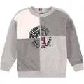 Tommy Hilfiger Kids Monotype Spliced Printed Sweatshirt