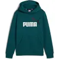 Puma Ess+ 2 Col Big Logo Hættetrøje