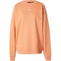 Vans Flying V Os Sweatshirt