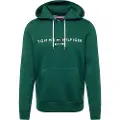 Tommy Hilfiger Tommy Hilfigertil mænd. MW0MW11599 Sweatshirt Logo grøn (XL), Casual, Bomuld